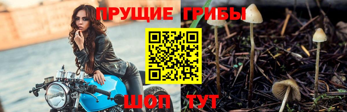 Галлюциногенные грибы MAGIC MUSHROOMS  Вход с VPN  Воскресенск 